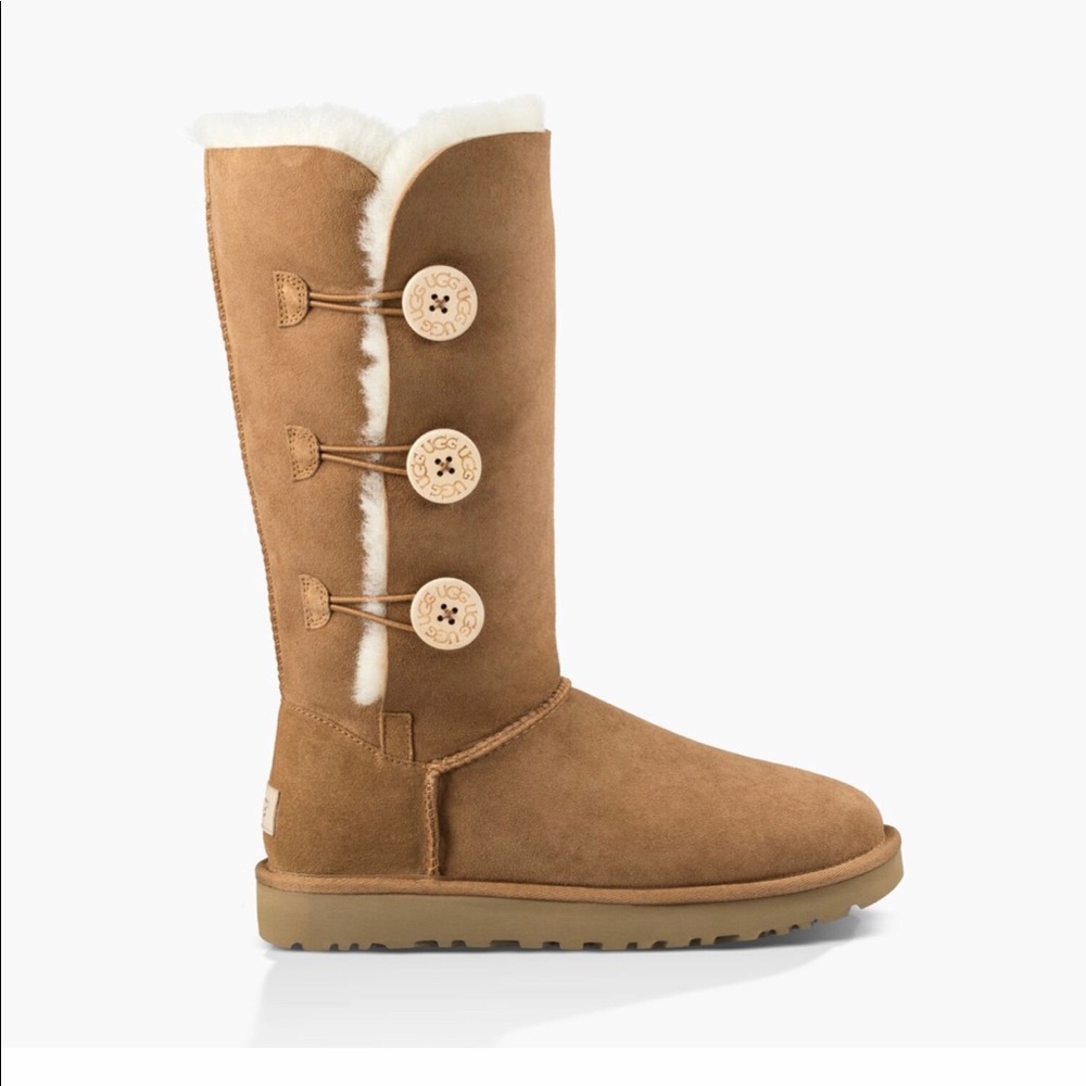 Tall Chestnut Uggs